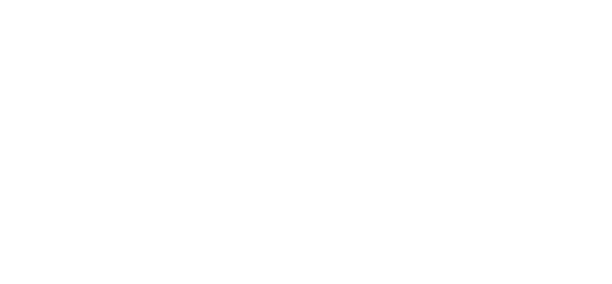 newtonmacarpetcleaning.com